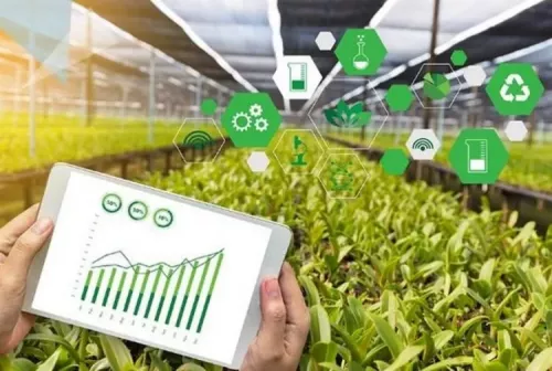 preview Agricoltura: Innovazione e meccanizzazione